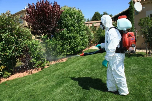 Canyon Lake Mosquito Control