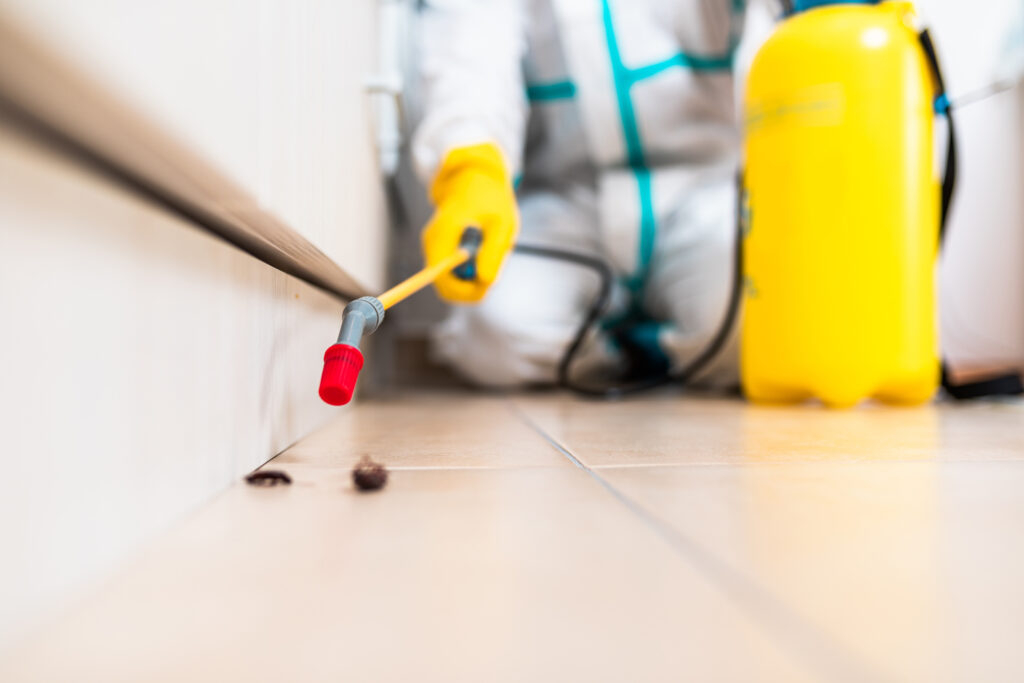 Canyon Lake Cockroach Experts