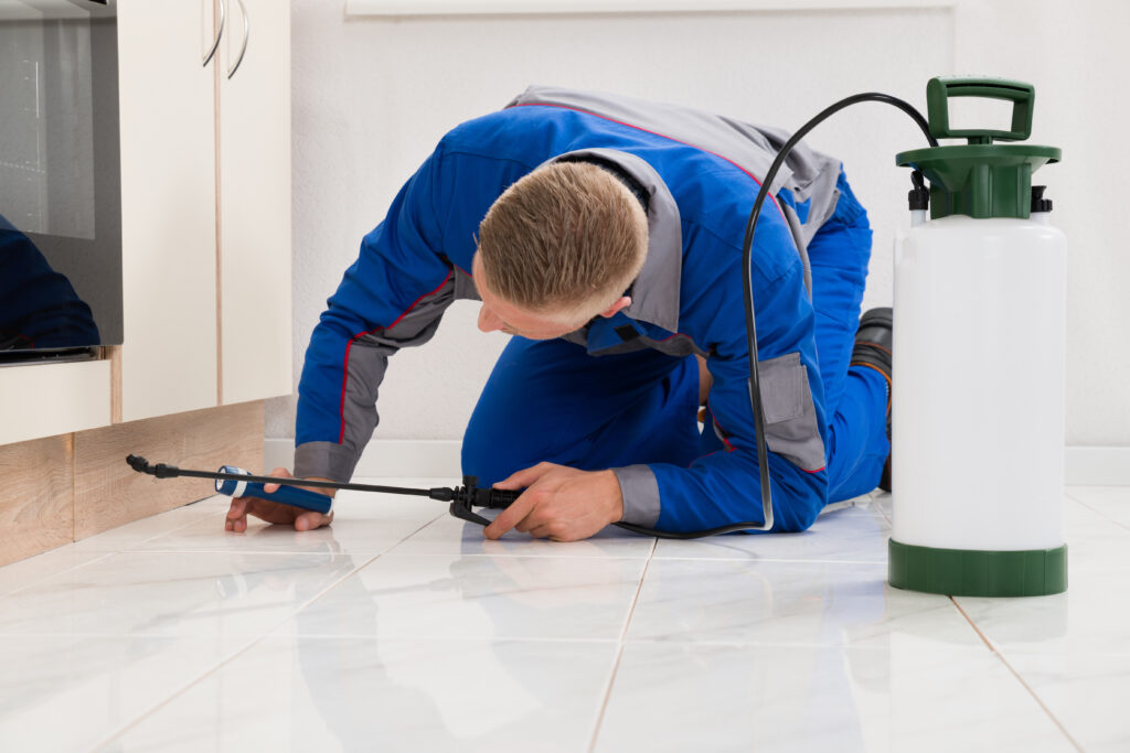 Canyon Lake Ant Control Xperts