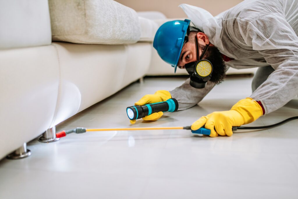 Canyon Lake Termite Control