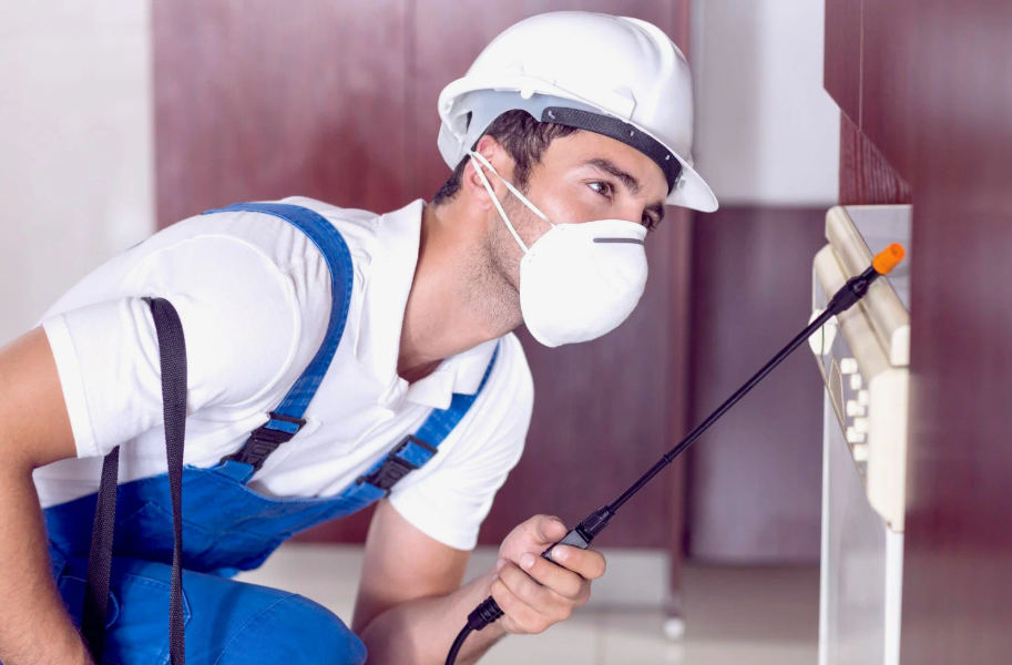 Canyon Lake local pest services