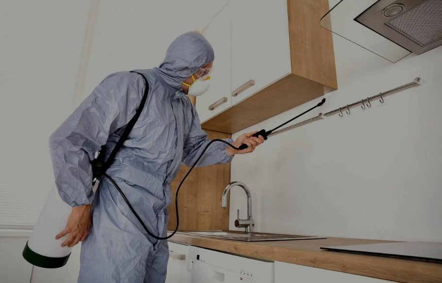 Canyon Lake pest managment