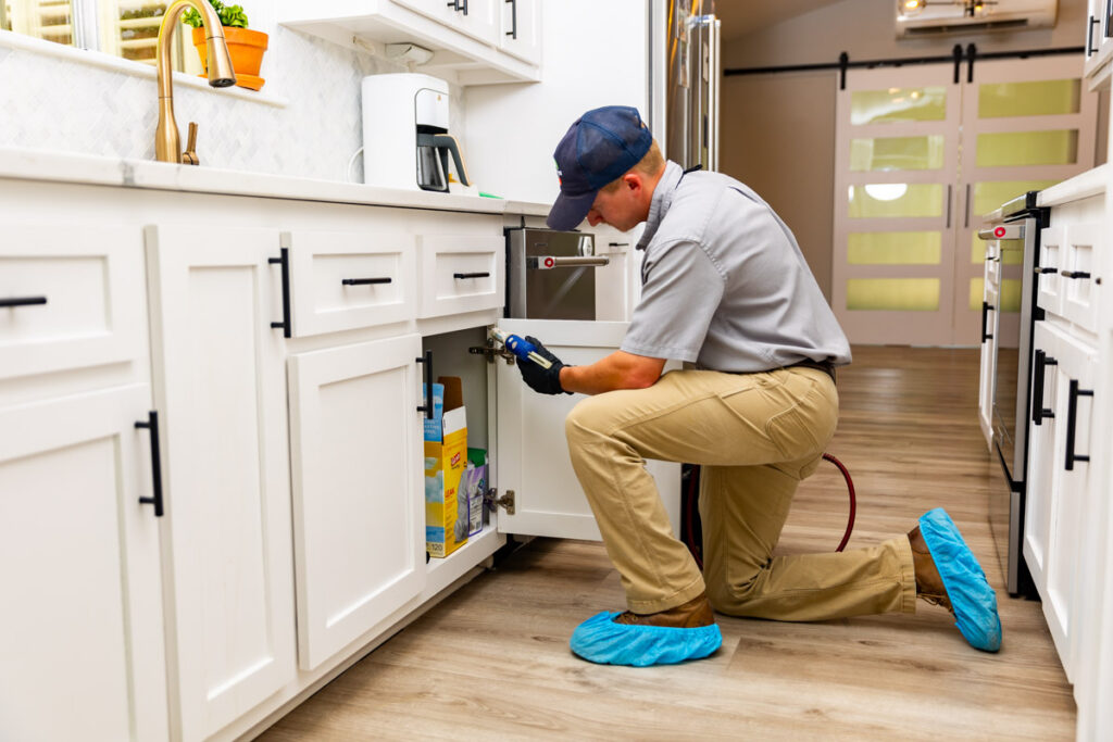 Canyon Lake xpert pest management